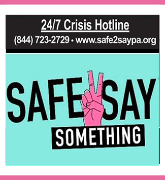  Safe to Say Logo